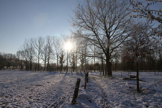 28 december 2014