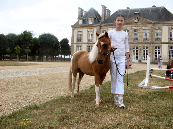 Vegas de Germigny au Haras du Pin en Juillet 2010