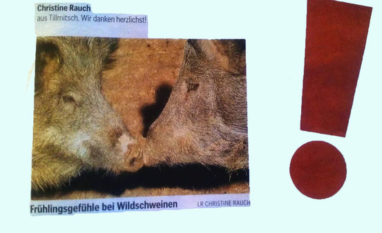 Kleine Zeitung Jänner 2012