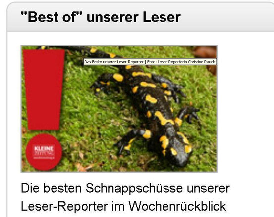 13.12.2011 Kleine Zeitung - Online