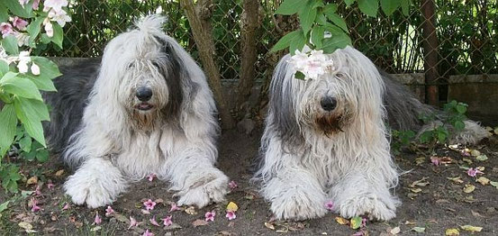 Paula & SuSu