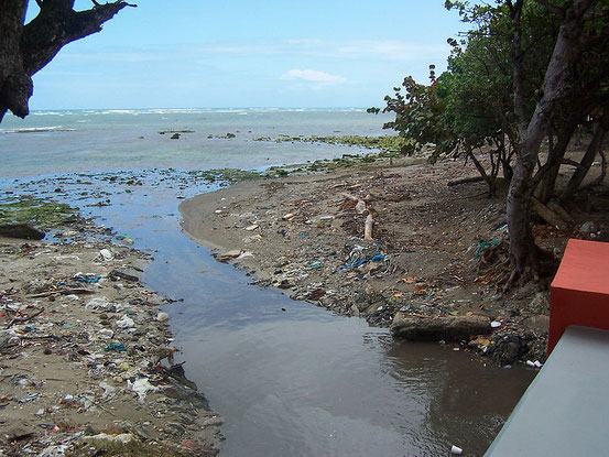Quelle: http://de.wikipedia.org/wiki/Datei:Dominican_Republic_-_trashed_beach.JPG