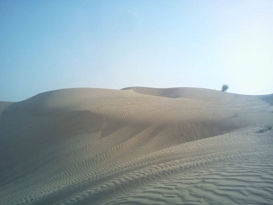 ... und noch mehr Wüste