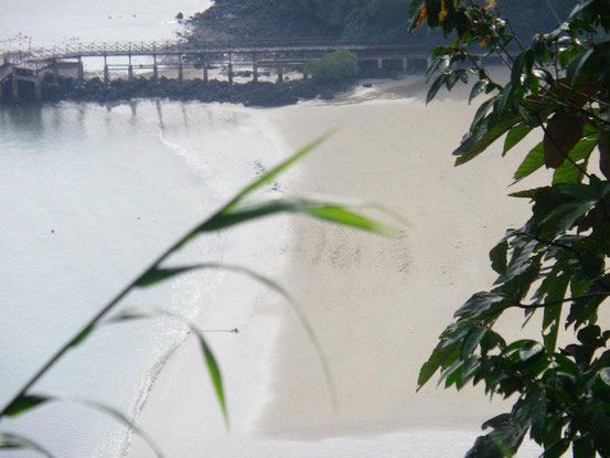 Die Naturwissenschaft lehrt uns, dass Wasser, Sand, Gene, Lebewesen, alles nur aus mikroskopischen Entitäten besteht, die kausale Rollen ausführen.