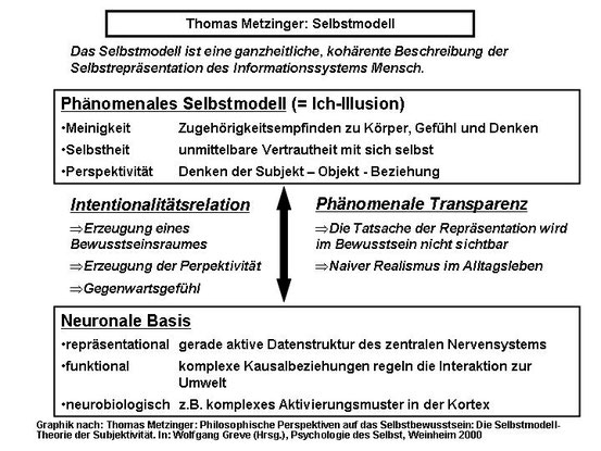 Theorie des Selbstmodells nach Thomas Metzinger
