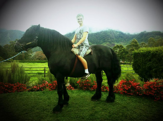 - Ich, auf einem Pferd reitend, das öfters Wettkämpfe in den USA absolviert.- 