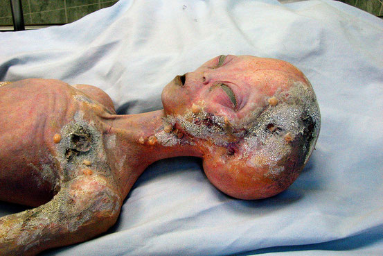 Wie könnten Außerirdische aussehen?