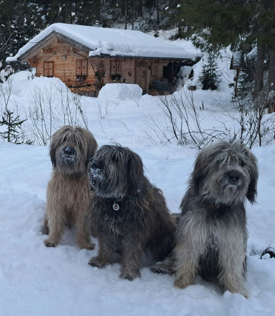 Oma Carla mit Kilian und Idoya