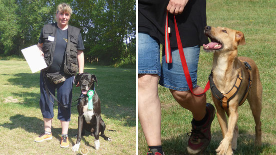 Fotos: Nicole Schneider / Bericht: Franka Neufert