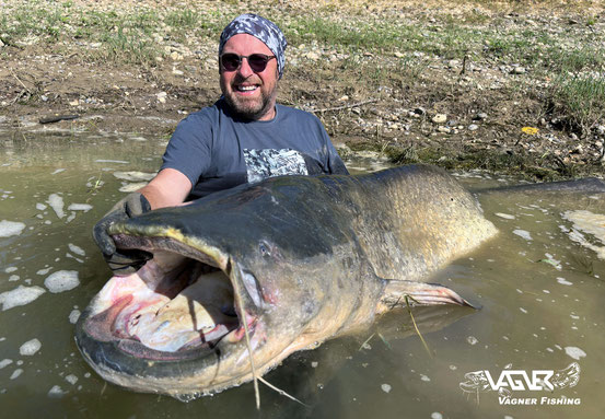 Vagner Fishing - Welsguide Pter Merkel konnten einen weiteren „Urwels“ aus den Fluten ziehen. Doch zunächst mussten Peter einen brachialen Kampf von über 25 Minuten Dauer meistern. 