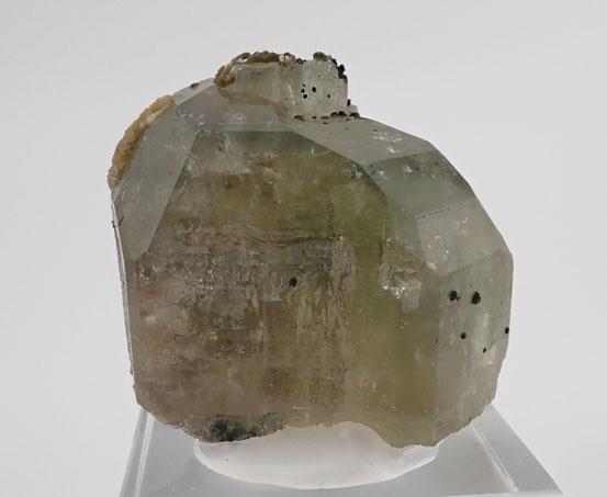 Fluorapatite Panasqueira