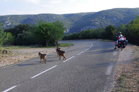 Gorges de l'Ardèche 10 septembre 2014