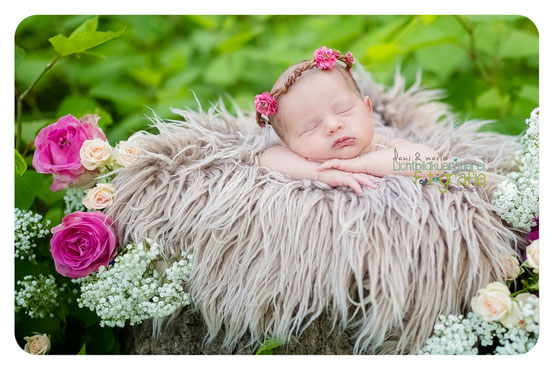 Baby Neugeborenenfotografie Fotografie Schwangerschaft Zwickau Familienshooting Kinderbilder Fotograf Daniela Rettke Hebamme Lichtbildkünstlerei Lichtbildkuenstlerei Geschwisterbilder