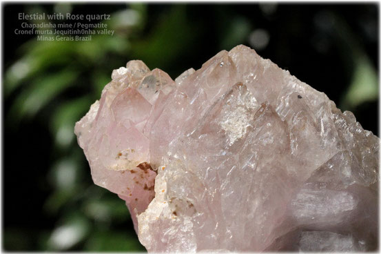 ローズクォーツ結晶　エレスチャル　原石　写真
