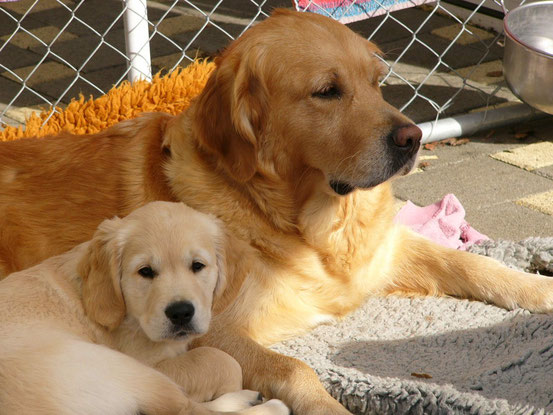 Die letzten Momente bei Mama Babà....