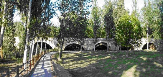 Es uno de los más grandes dentro de la Comunidad de Castilla y León, está conformado por veinticinco arcos que atraviesan el río Pisuerga