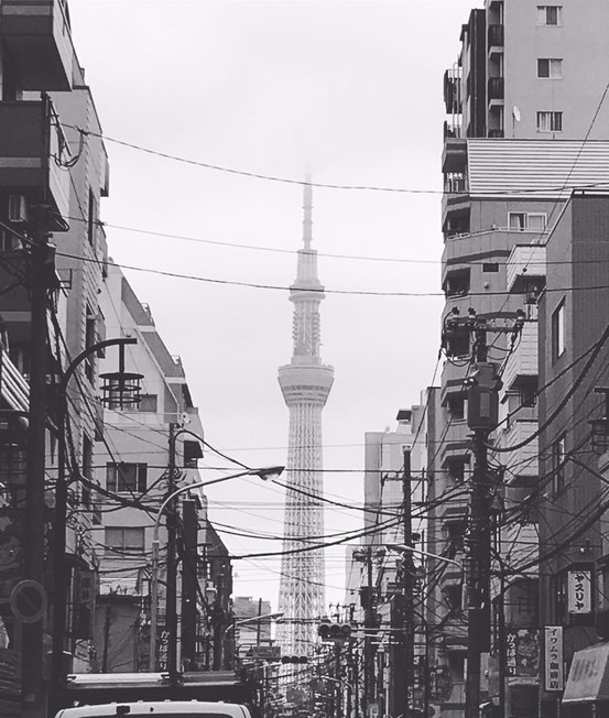 Skytree