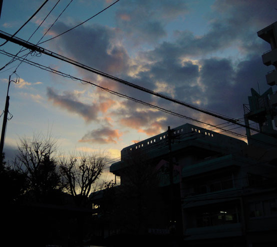 台東区立松葉小学校