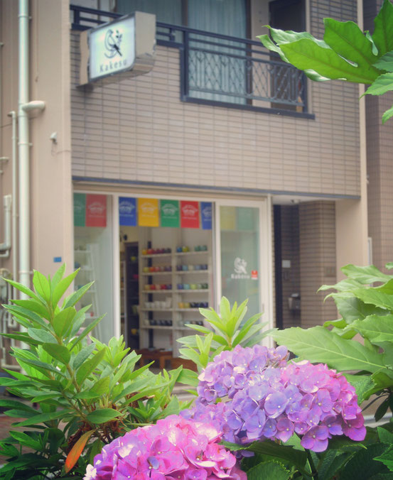 カケス雑貨店と紫陽花