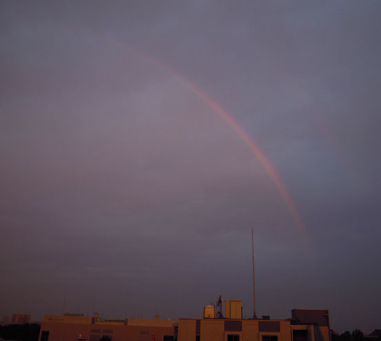 早朝の虹