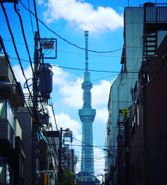 台東区松が谷よりSKYTREE