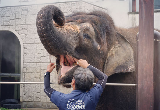 福山市立動物園ふくちゃん