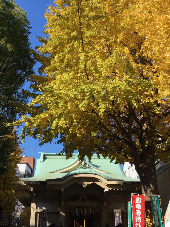 矢先稲荷神社の銀杏