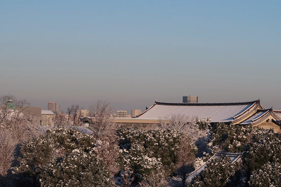 東京国立博物館