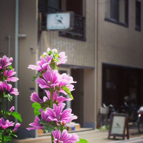 花壇の花とカケス雑貨店看板