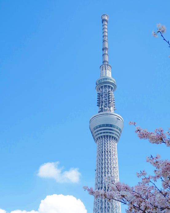 SKYTREEと桜