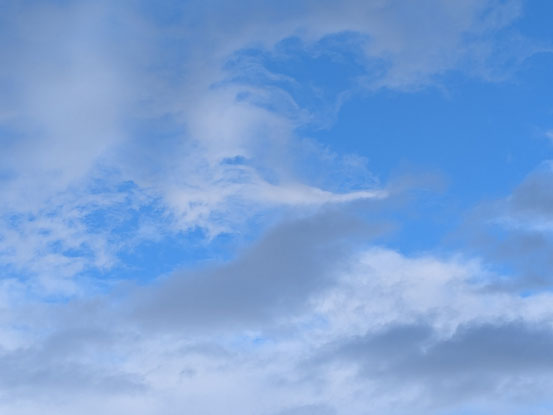 くものフェニックス。１月３１日