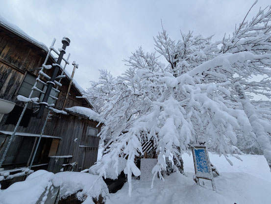 雪の朝。１月６日