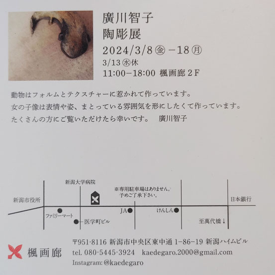 大学時代の後輩の廣川さんの個展に行きました。今は陶芸家として活躍しています。３月８日