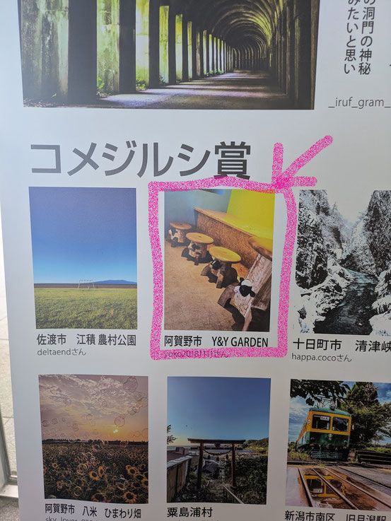 私が作って、ヤスダヨーグルトで使っていただいている彫刻イスの写真がありました！なんだか嬉しいなぁ。７月１０日