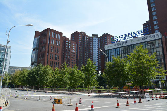 マンションの北側もこんな感じで人も入れません・・・。