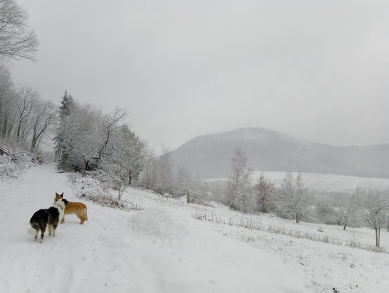 Tiefschnee im Kaltenbrunner Tal