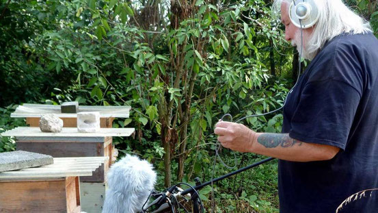 Das Summen der Bienen ist eines der vielen Naturgeräusche, die Bernd-Michael Land in seinem Projekt „Rodgau Field“ verarbeitet. © Karin Wagner