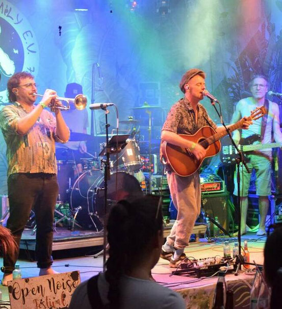 Viel Musik, gute Laune und Rhythmen, die zum Tanzen einladen: Beim 29. Steinbruchfestival überzeugten die unterschiedlichsten Künstler – links etwa Malaka Hostel – die Besucher. FotoS: Hackendahl