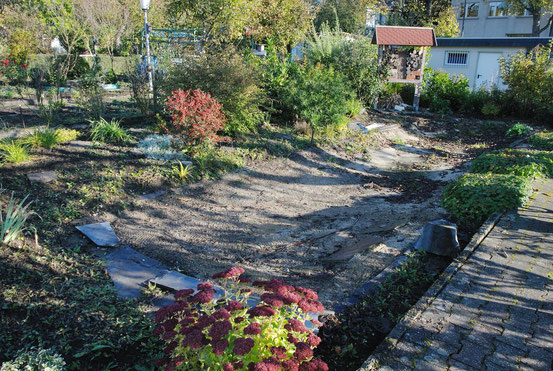 Entstehung Einer Mager Blumenwiese Kleingarten Hangeweiher De