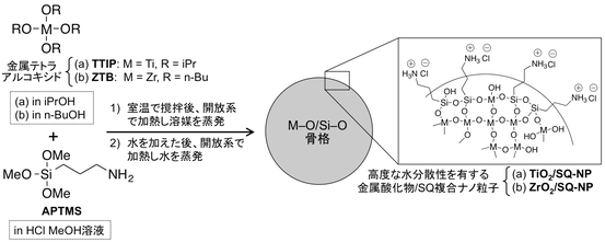 図2　高度な水分散性を有する金属酸化物/SQ複合ナノ粒子（(a) TiO2/SQ-NP, (b) ZrO2/SQ-NP）の合成