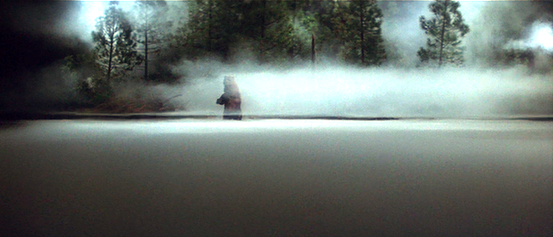 Prophecy - Le Monstre Est Né de John Frankenheimer - 1979 / Horreur - Animal Tueur  