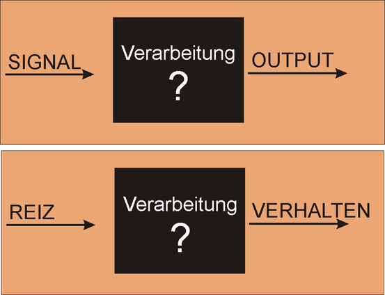 das Black Box-Modell