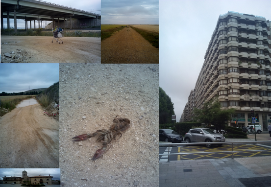 Segen (umherstehender Einkaufswagen, Oben links), der nur ein paar Hundert Meter anhält (Pfütze, Mitte links)