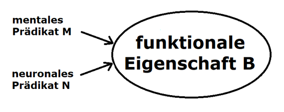 Neuroidentitätstheorie
