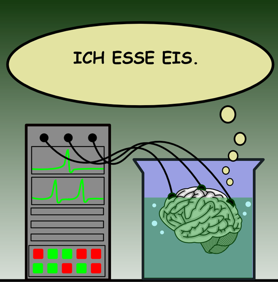 Die subjektive Realität des Gehirns und die objektive Realität stimmen nicht überein.