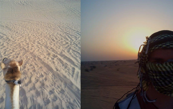 Von Dubai aus auf Kamelen durch die Wüste – mein persönliches Highlight.
