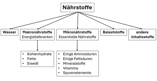 Gesunde Ernährung - Nährstoffe - Wasser - Makronährstoffe - Mikronährstoffe - Balaststoffe - www.learn-study-work.org