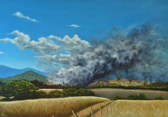 peinture-hyperrealisme-paysage-nouvelle-caledonie-cote-est-mont-koniambo-feu-brousse-roussel-meric