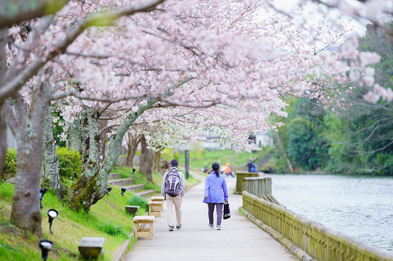 亀岡市都市緑花協会理事長賞