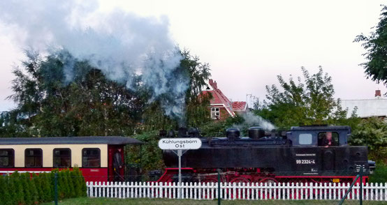 Dampfeisenbahn "Molli": Kühlungsborn - Bad Doberan